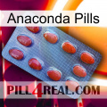 Anaconda Pills 06